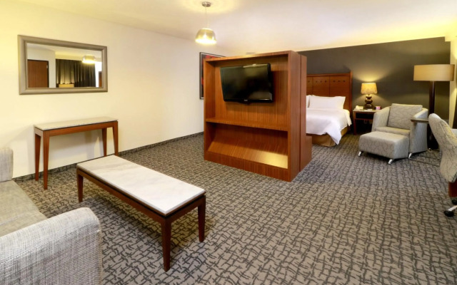 Holiday Inn Ciudad De Mexico-Trade Center by IHG