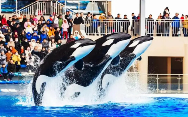 Holiday Inn Shanghai Dishui Lake by IHG