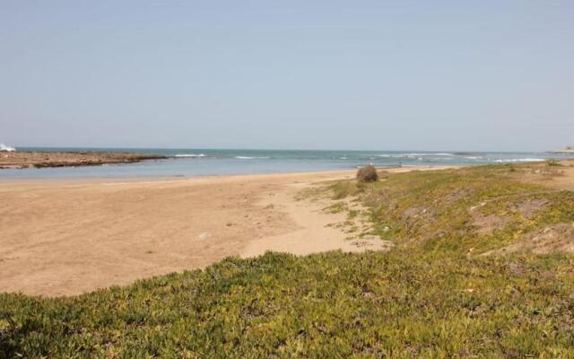 La Grande Propriété Étoile De Mer