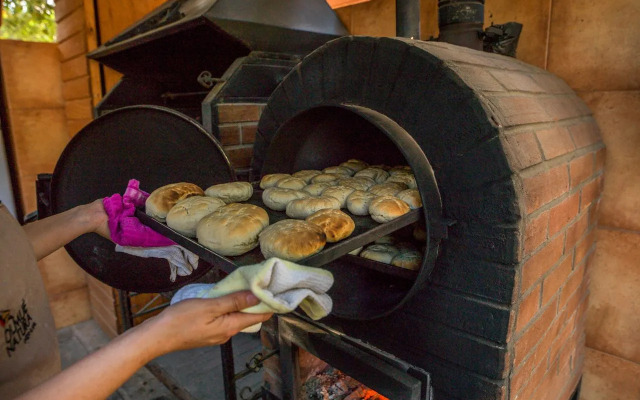 Olmué Natura Lodge & Spa