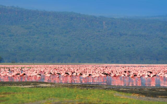 Kenya Safari – Kenya Classic Keekorok (6 Nights)