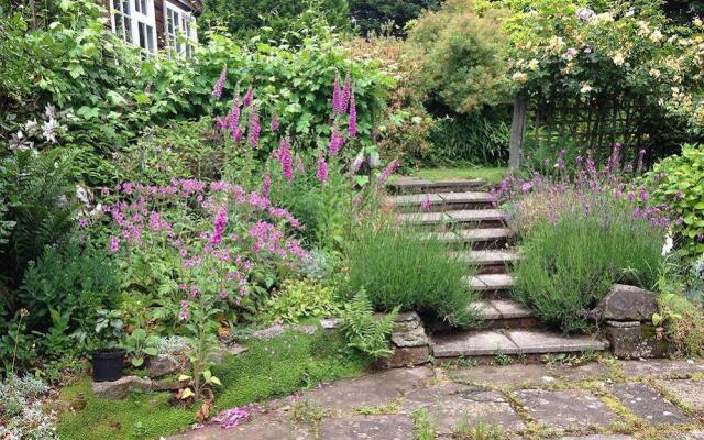 Red Ley Farm Bed & Breakfast
