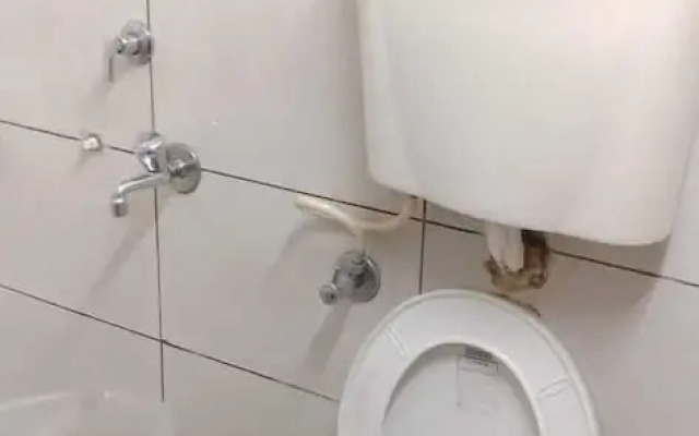 Hotel Pisals