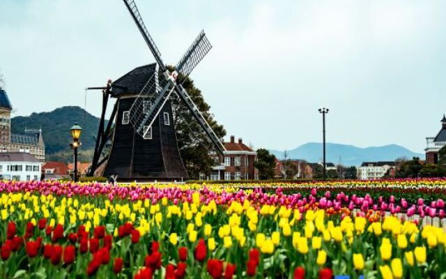 Rakuten STAY HOUSE x WILL STYLE Sasebo