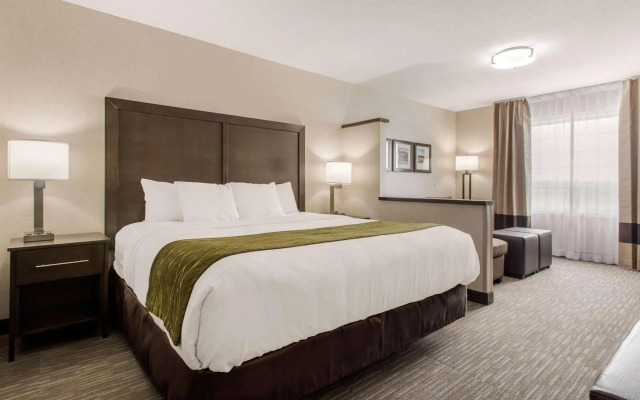 Comfort Inn & Suites Red Deer