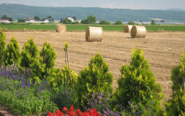 Petit Hotel Blanc Fleur
