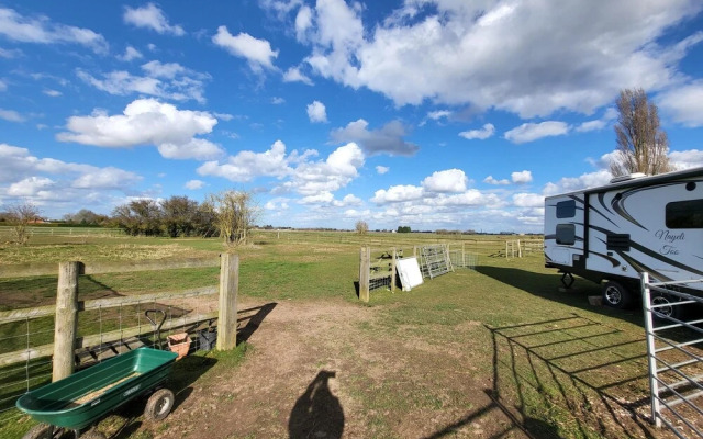 Glamping With Llamas