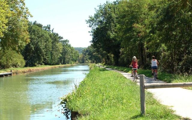 les tilleuls de la voie verte