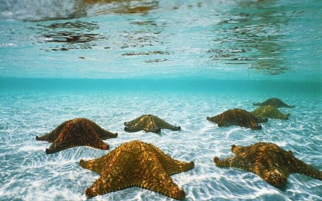 Coral Garden Resort