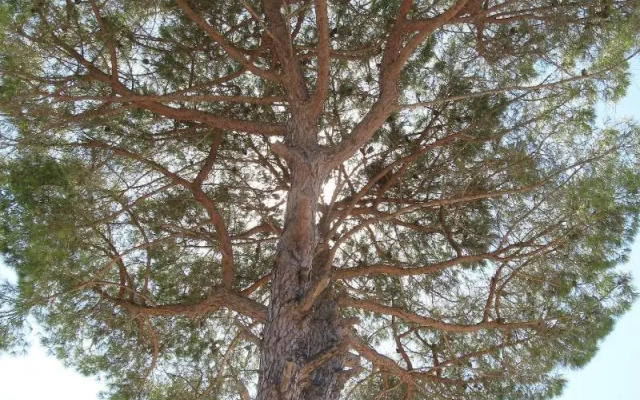 Bed & Breakfast Villa Rita