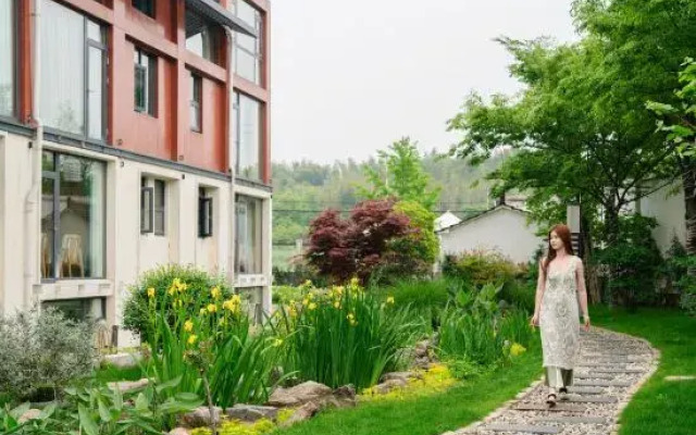 Nanshan Bamboo Sea Ann Diffuse cloud mu homestay