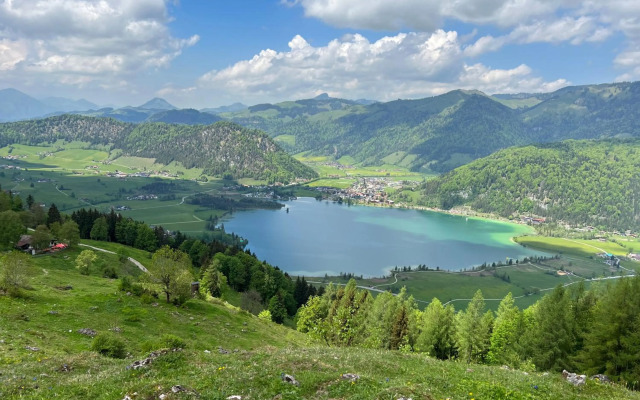 Apartment Liebelei am See