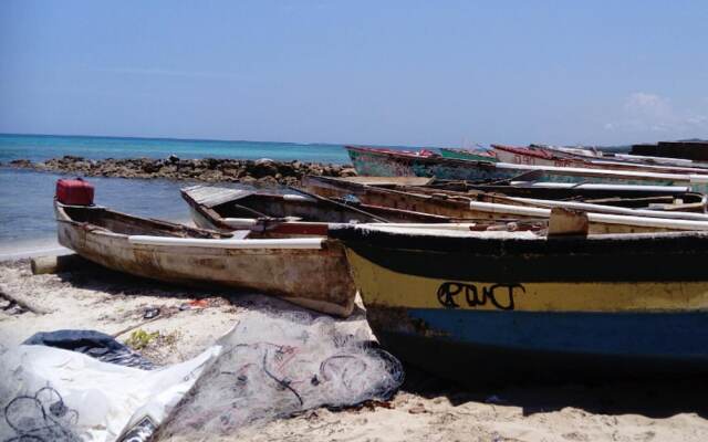 Beautiful 2-bed Apartment in Sunny Jamaica