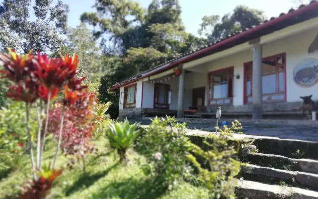 Finca Ecolodges El Ocelote