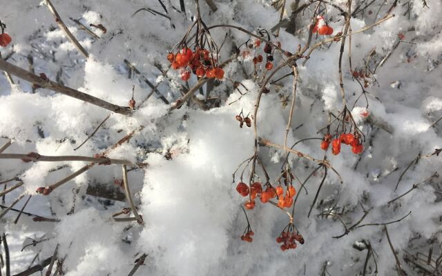 Alpin Hotel Garni Eder Private Living