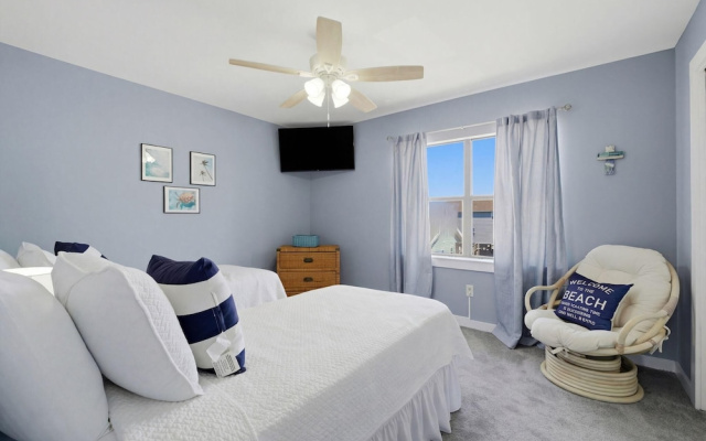 Sand Dollar 30