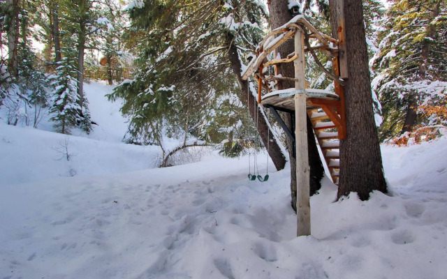 Treehouse by the Stream