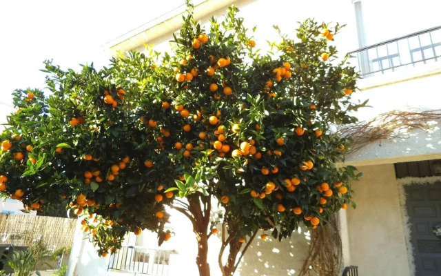 Au Bougainvillier