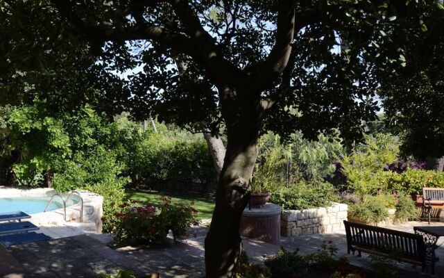 B&B Amoredimare