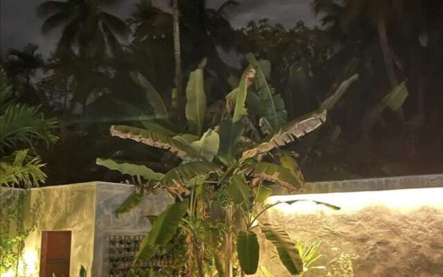 Tiger Shark Residence
