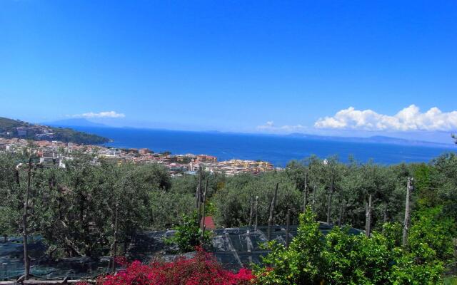 Sorrento Mansion: Relax, Explore, Savor