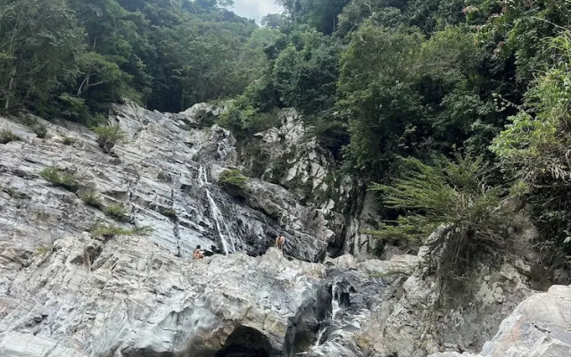 Tree of Life - Hostel