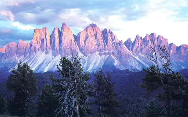 Art  Appartment Schatzer