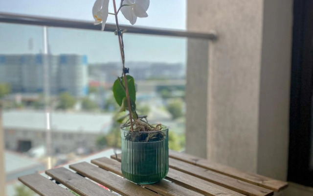 VR2 Central Apartment