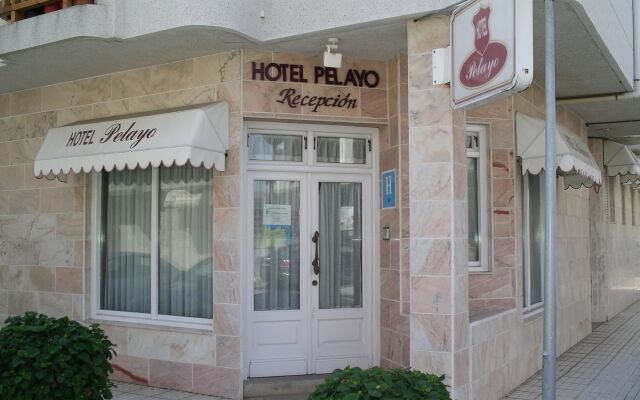 Hotel Pelayo Noja