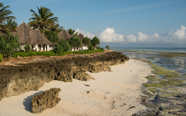 Essque Zalu Zanzibar