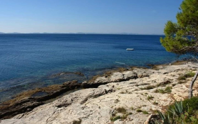 Apartment Djurdja - 20 m from beach : A2 Luka Murter, Island Murter