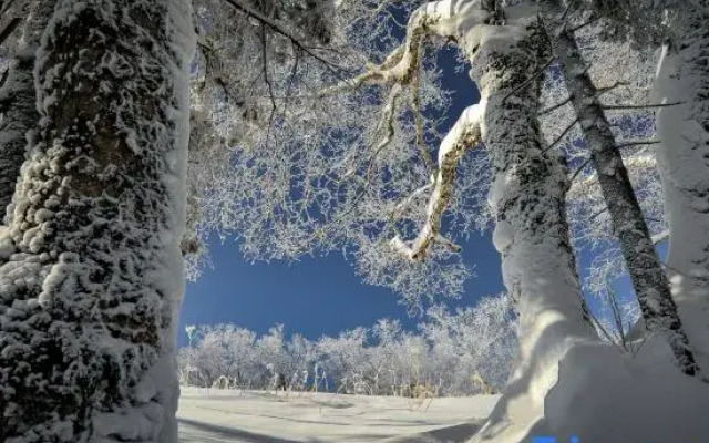 Xuexiang Xueyun Holiday Hotel