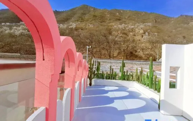 Tree&Bear Guesthouse