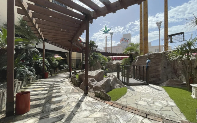 Hotel Palms - Adults Only