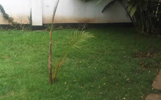 Pamoja Expeditions Lodge