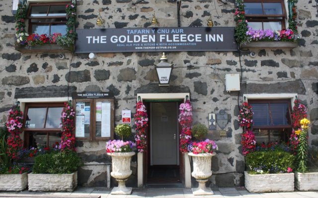 Golden Fleece Inn Tremadog