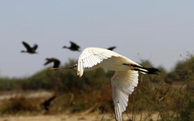 Lodge Ocean et Savane