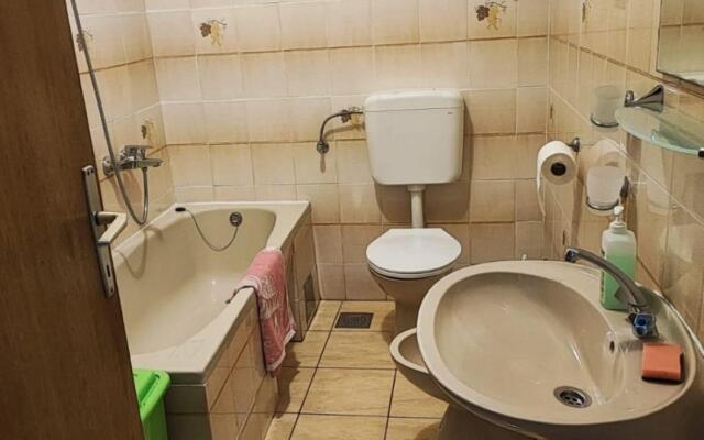 Dragi - 250 m from the beach - A1(6)