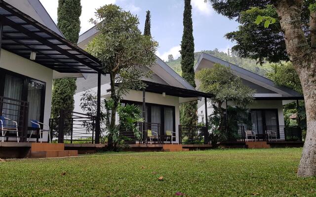 New Mountain Springs Hotel & Resort