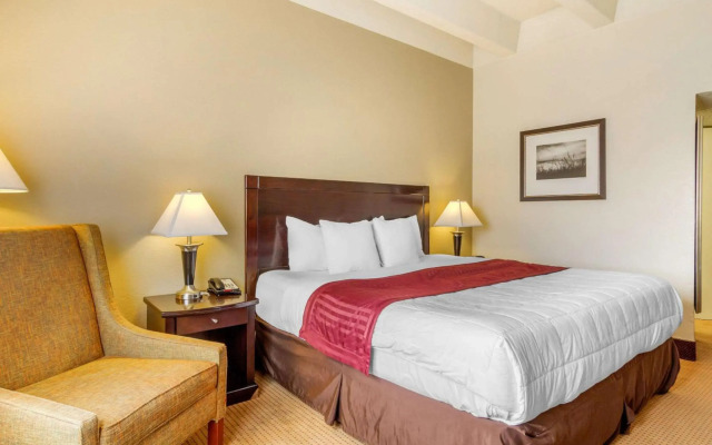 Quality Inn Denver Downtown