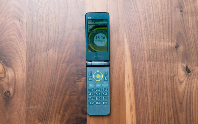 Your Pavilion near Kinkakuji