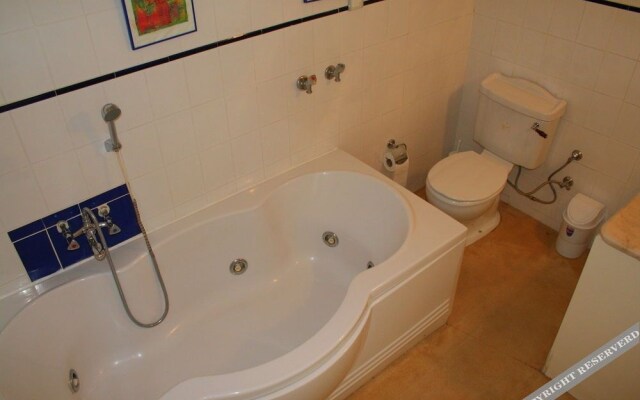 Dream of Holiday Calis