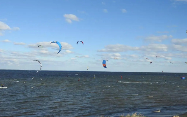 Studio Verdemar Nexo