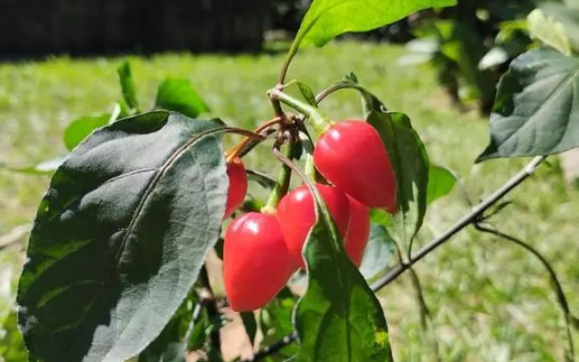 Suítes Aconchegantes em Miguel Pereira RJ!
