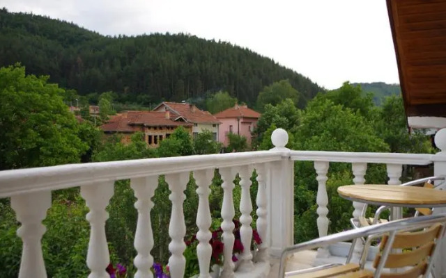 Nashentsy Guest House