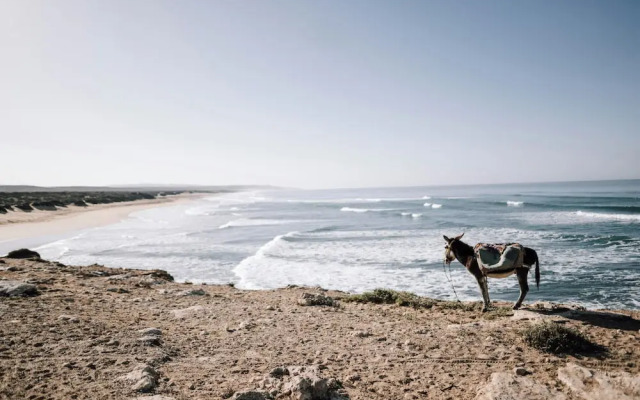 Hanah Apartments by Living Essaouira