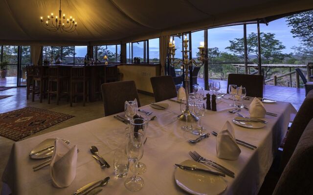 The Elephant Camp