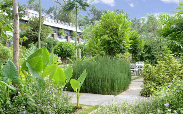 Purple Palms Resort & Spa