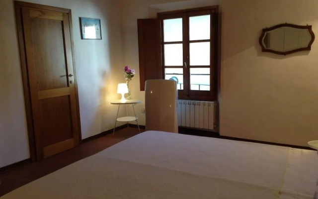 Vellutini Number One