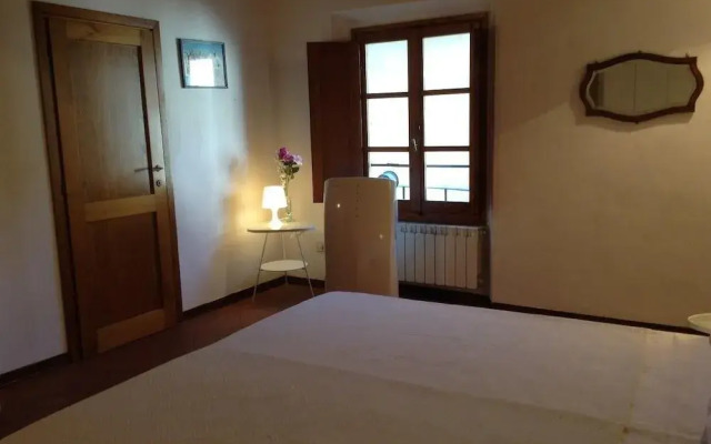 Vellutini Number One